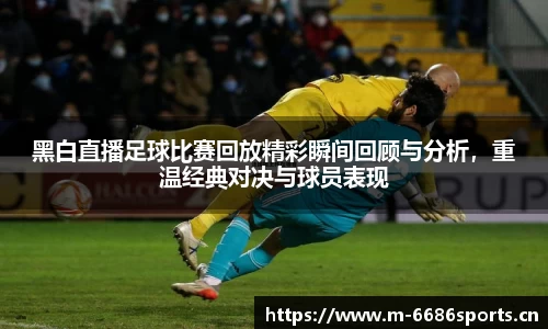 6686体育平台